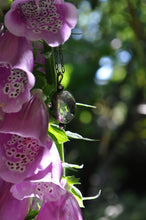 Load image into Gallery viewer, Manifestation Quartz - Sacred & Four -