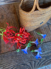 Load image into Gallery viewer, September Birth Flower -Morning Glory-