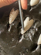 Load image into Gallery viewer, Heart Ring -The Engraved Heart Ritual ・2026