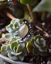 Load image into Gallery viewer, Rutilated Quartz with Fern