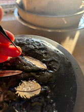 Load image into Gallery viewer, Feather Necklace -Raven-