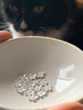 Load image into Gallery viewer, Yarrow Blossom Stud Earrings -healing, love & courage-