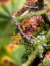 Load image into Gallery viewer, hessonite garnet ring