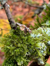 Load image into Gallery viewer, hessonite garnet jewelry canada