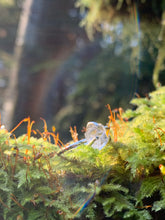 Load image into Gallery viewer, herkimer diamond ring for sale Canada