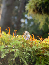 Load image into Gallery viewer, Nature inspired jewelry design Canada