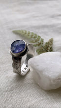 Load image into Gallery viewer, -Tanzanite- West Coast Nature Scene

