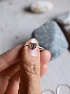 forest cat ring canada