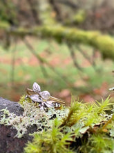 Load image into Gallery viewer, Rose Cut Rustic Diamond Ring Canada
