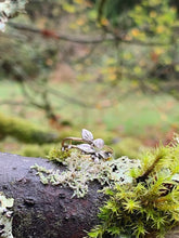 Load image into Gallery viewer, Forest inspired wedding band canada
