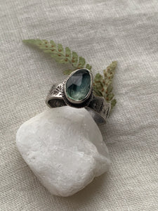 -Green Kyanite Ring- West Coast Nature Scene