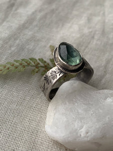 -Green Kyanite Ring- West Coast Nature Scene